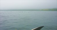 304 1.08        туман у мыса Левенорна